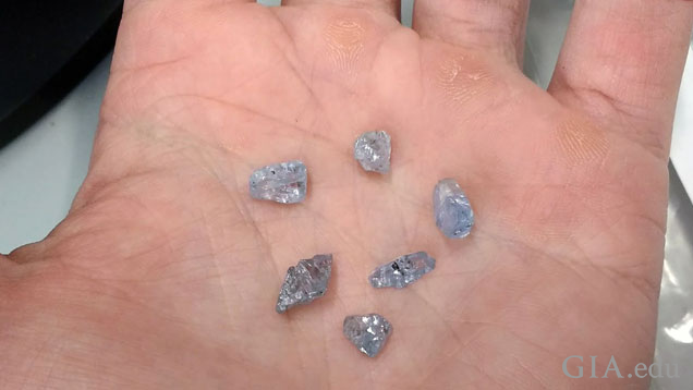 Six rough blue diamonds