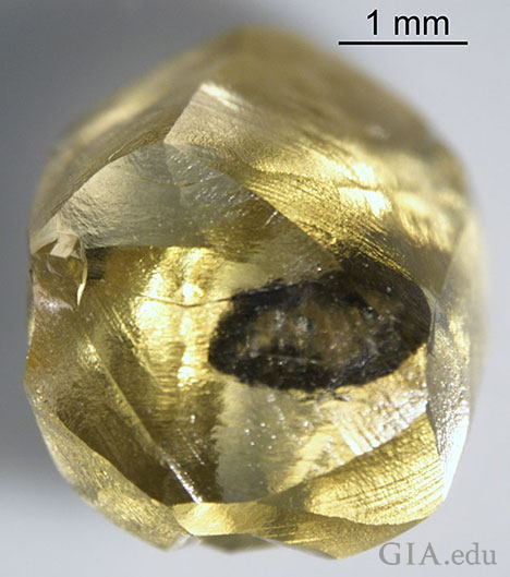 Rough diamond, yellow in color 