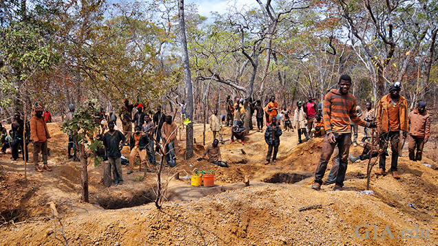 A large group of miners work around small digs.