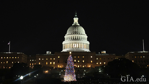 Christmas Tree in Washington, D.C.