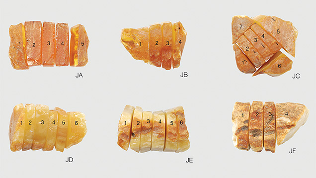 Raw amber specimens from Kaliningrad, Russia