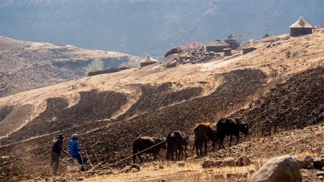 レソトのMaluti（マルチ）山地