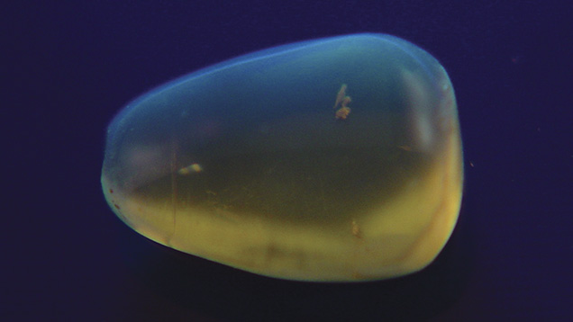 Blue amber cabochon