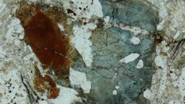 Sample of dutrowite (brown) and dravite (blue) tourmalines in meta-rhyolite from Italy (From Biagiona et al. 2019).