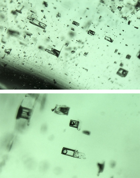 Multiphase inclusions in emerald from Kafubu and Kagem mine