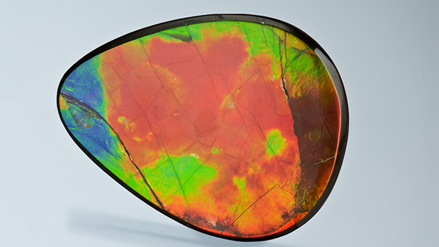 This double-sided teardrop Ammolite weighs 35.68 ct and was mined from Alberta, Canada. Photo by Robert Weldon, © GIA