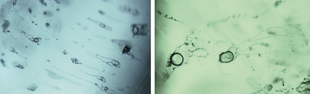 Irregular multiphase inclusions in Kafubu emeralds