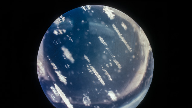 Centipedes in a Moonstone