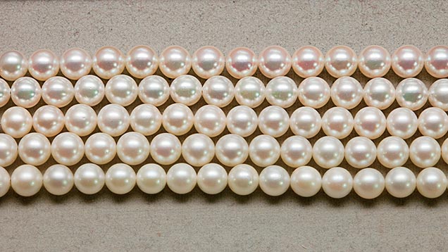 Japanese Saltwater Cultured Pearls