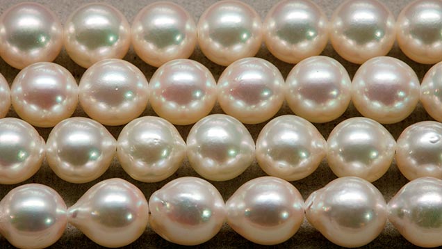 Image result for How the Quality of Pearl Is Determined? 