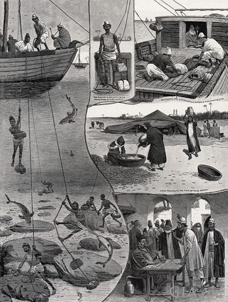 Drawing showing various scenes of ancient pearl diving techniques. 