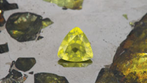 Identification of Extraterrestrial Peridot by Trace Elements