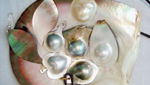 密克罗尼西亚联邦的珍珠人工养殖和出产