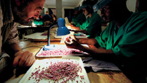 25年以来红宝石与蓝宝石产量与产区的衍变