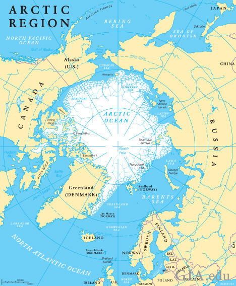 A flat map of the arctic region