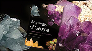 Minerals of Georgia: Their Properties and Occurrences Book Cover