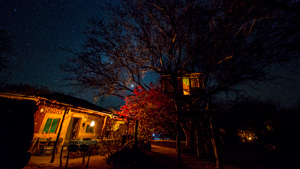 A small house, left, and a treehouse, right, are lit up against a star-filled sky.