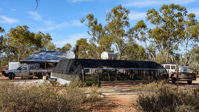 Greenhouse and trucks