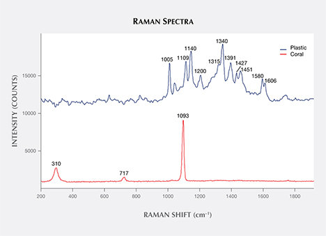 Raman spectra of bead components.