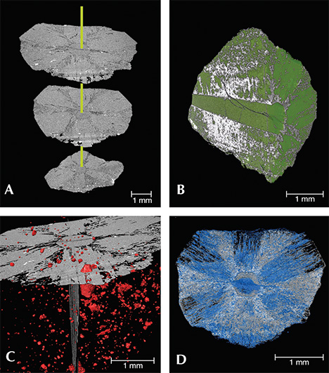 Four X-ray computed tomography images of trapiche emerald from Muzo