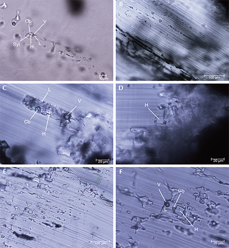 Multiphase fluid inclusions in trapiche emeralds