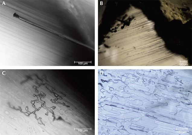 Internal features in trapiche emeralds