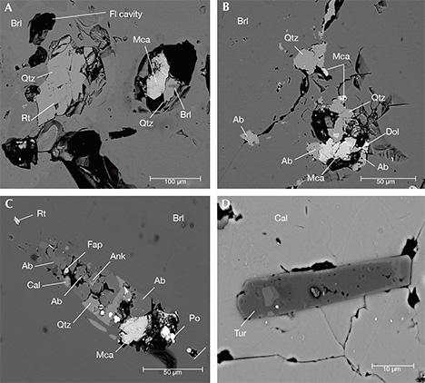 SEM images of inclusions found in dendrites at the contact with trapiche emerald arms