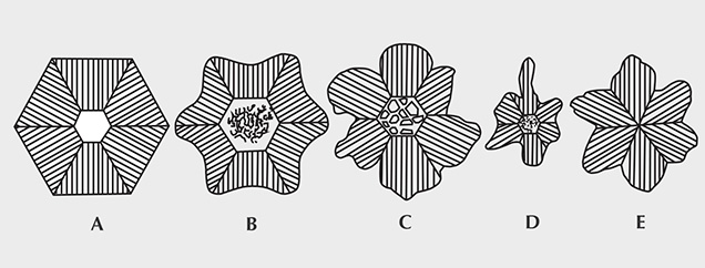 Different morphologies of trapiche emeralds from the Muzo mine