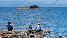 Pearl farm on the Indonesian island of Lombok