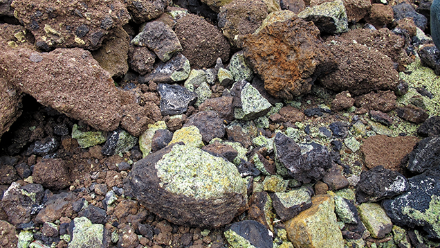 Peridot-bearing nodules from Vietnam