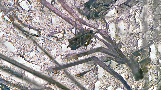 Negative crystals with stubby etching and long etch tubes in a spinel