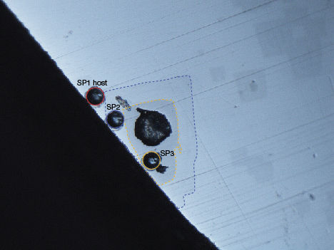 LA-ICP-MS was performed on different areas of the host demantoid and its crystal inclusions.