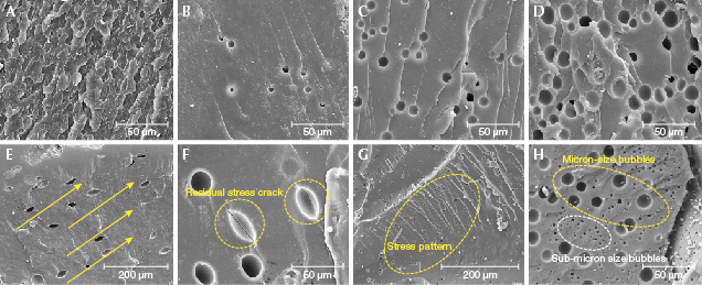 SEM images of beeswax amber, natural and treated