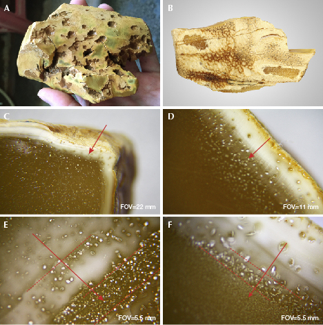 External and internal characteristics of hydrothermally treated amber rough