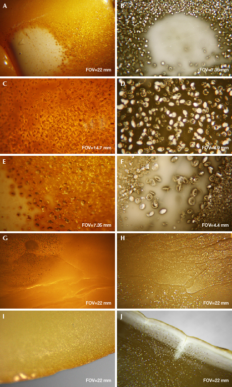 Inclusions in hydrothermally treated amber