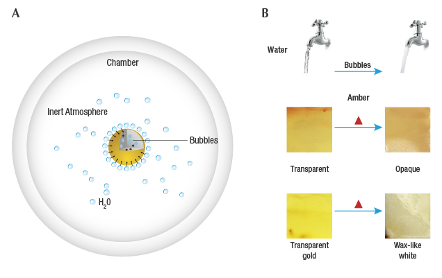 Mechanism of hydrothermal treatment of amber