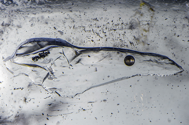 Silver-gray gas bubble resembles a ball bearing.