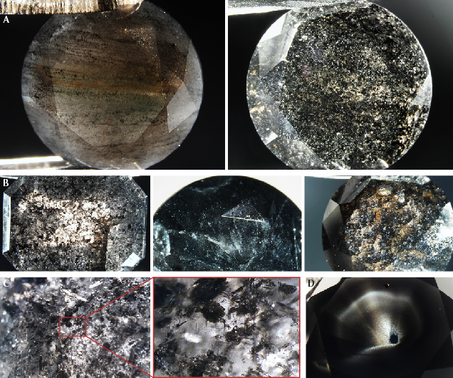 Microscopic observations in Fancy black diamonds