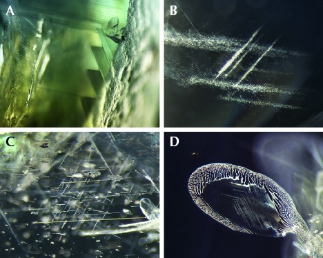 Common internal features in blue sapphire from Bo Welu