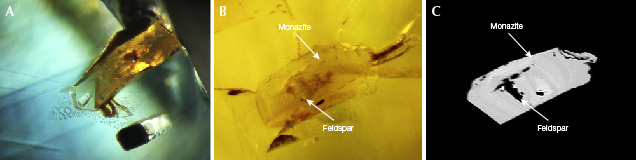 Monazite inclusion in blue sapphire from Bo Welu