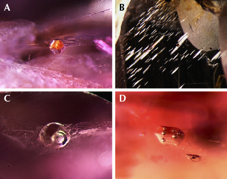 Internal features in ruby and sapphire from Bo Welu