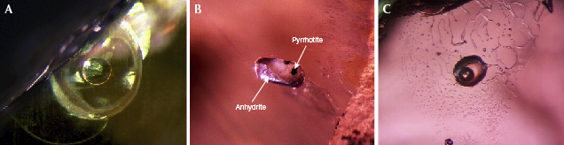 Inclusions in corundum from Bo Welu