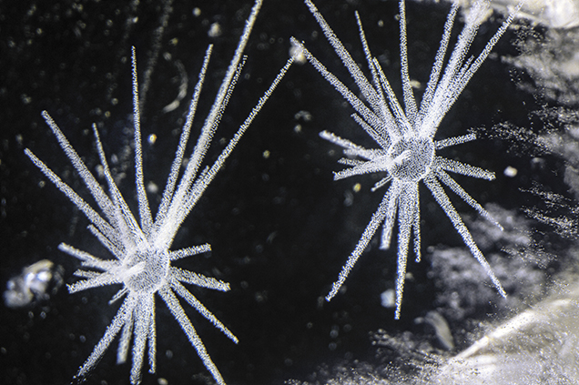 3D internal laser engraving represents the latest advancement in manufactured inclusions.