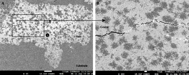 Backscattered electron imaging of grains in “raindrop” turquoise