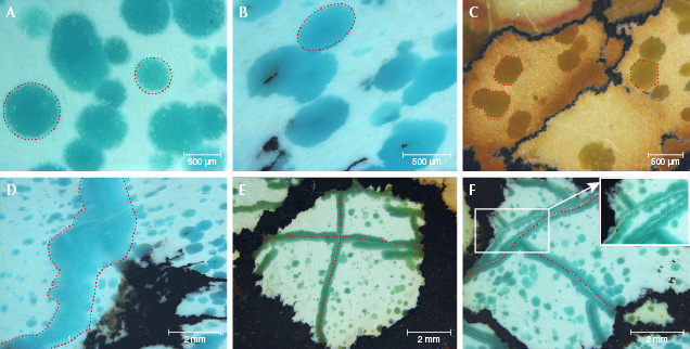 Various shapes of raindrops and veins in “raindrop” turquoise