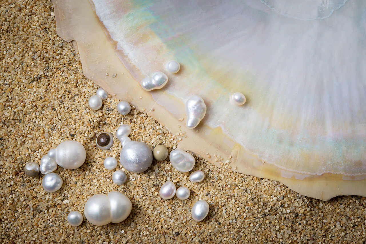 Authentic Developmental Phase Native American Shell Bead
