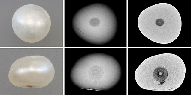 Macro images, RTX images, and μ-CT slices of cultured pearl