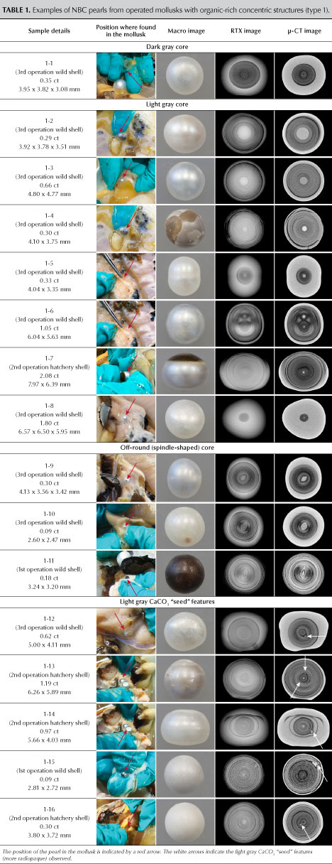 Table 1. Examples of NBC pearls from operated mollusks with organic-rich concentric structures (type 1).