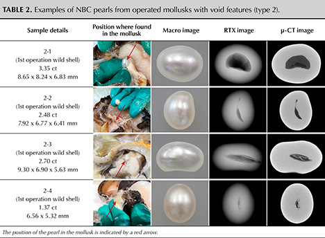 Table 2. Examples of NBC pearls from operated mollusks with void features (type 2).