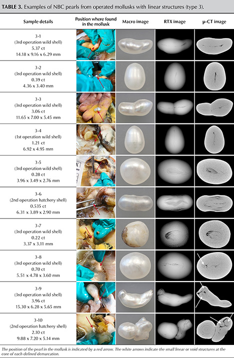 Table 3. Examples of NBC pearls from operated mollusks with linear structures (type 3).